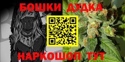 МДПВ Будённовск