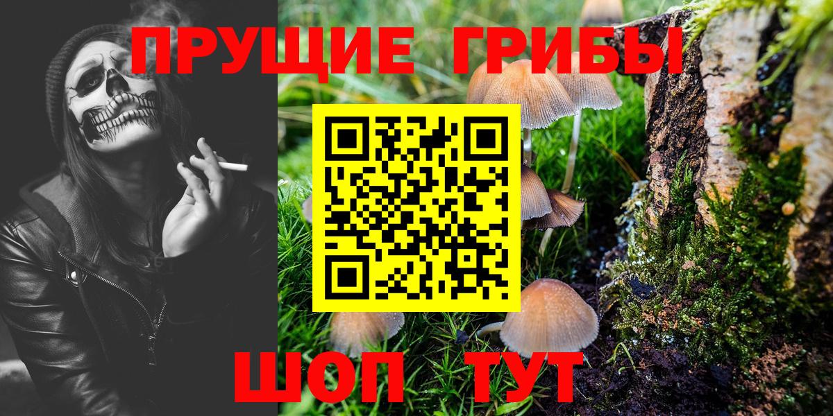 Псилоцибиновые грибы MAGIC MUSHROOMS  Псилоцибиновые грибы MAGIC MUSHROOMS  Семёнов  Вход с VPN 